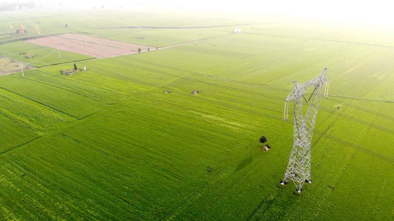 高產(chǎn)示范田